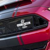 Die bissige Kobra ziert den Front-Kühler