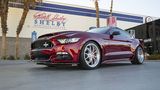 Der Ford Mustang Shelby American Super Snake kostet gut 80.000 Dollar
