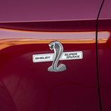 Auch auf den Kotflügeln richtet sich die Kobra auf