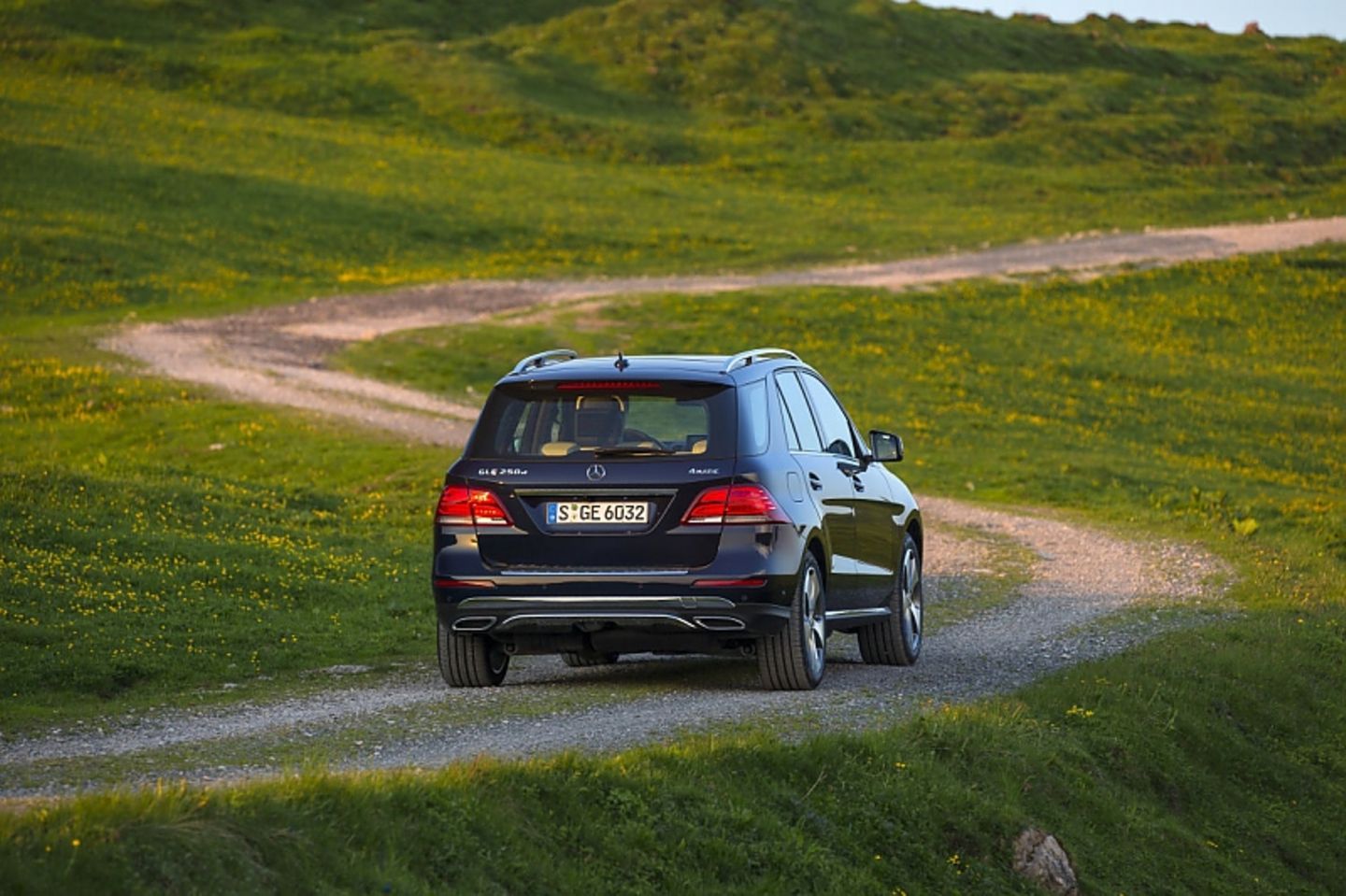 Mercedes GLE 250d 4matic - lieber zum Sechszylinder greifen