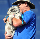 So gesehen ist er eigentlich ganz knuddelig. Keine Chance gegen die anderen hässlichen Tiere.