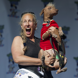 Der Hund scheint weniger begeistert zu sein, als seine Besitzerin. Am Ende konnte Morris die Jury auch nicht von seiner Hässlichkeit überzeugen.