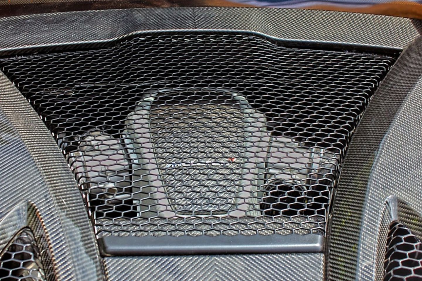 Der V8 liegt unterhalb eines Carbongeflechts.