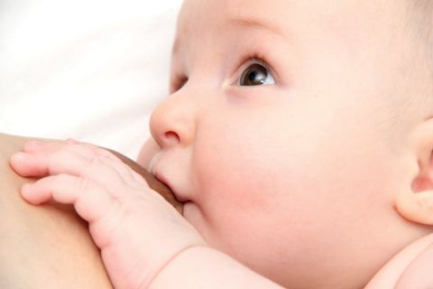 Wer suchet, der findet: Das steht schon in der Bibel. Die Grünen fanden in 16 Muttermilchproben Rückstände des Pflanzengifts Glyphosat.