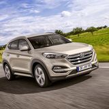 1,65 Meter hoch und...