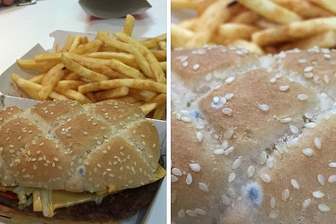 Einfach nur eklig: Diesen Schimmelburger fand ein Kunde bei McDonalds in England