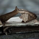 Nahaufnahme einer zerrissenen Buchseite