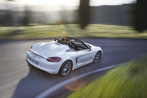 Bis zu 290 km/h ist er schnell.