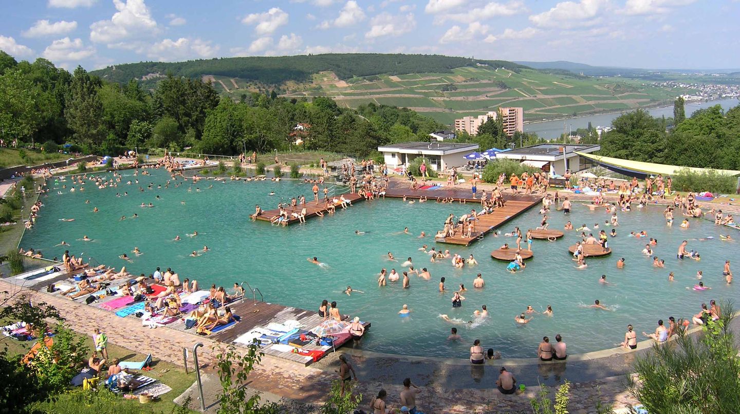 Naturerlebnisbad Bingen Was gute Aussicht angeht, muss sich auch dieser Badetempel nicht verstecken: das Naturerlebnisbad Bingen-Bingerbrück, von dem aus man einen fantastischen Blick über den Rheingau hat. Dazu gibt es einen Sprungfelsen und rund 3000 Quadratmeter Wasserfläche, die komplett ohne Chemie sauber gehalten wird.