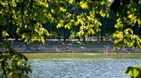 Abkühlung im Grünen - und das mitten in der Großstadt: Das gönnen sich aufgeheizte Hanseaten im Stadtparksee im Hamburger Stadtteil Winterhude. Der ist mit einer Wasserfläche von 107 mal 138 Metern das größte Freibad in der Stadt und bietet neben großzügigen Liegewiesen auch einen kleinen Sandstrand und einen Biergarten.