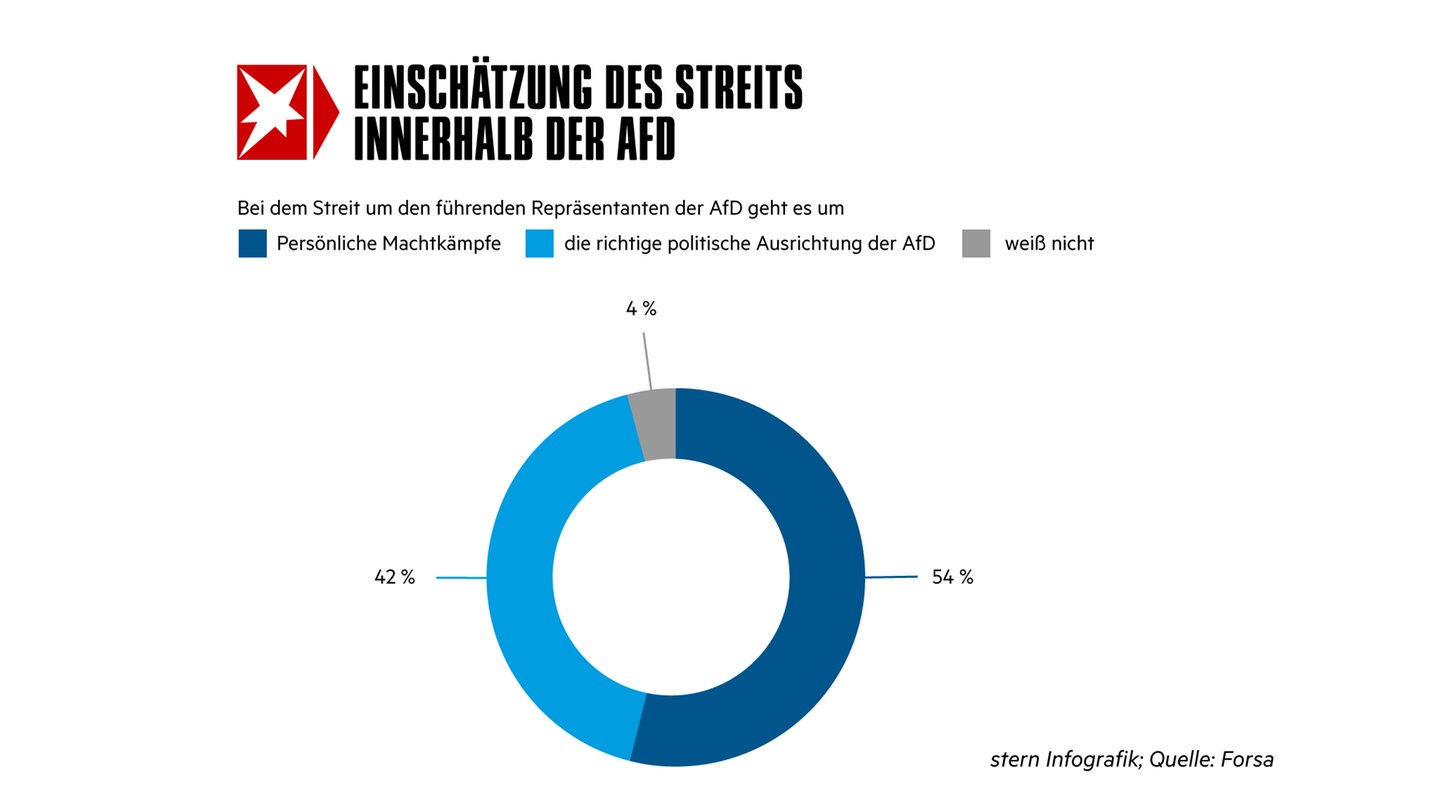 Weitere Ergebnisse der Forsa-Umfrage zur AfD