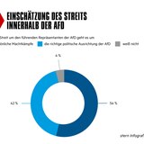 Weitere Ergebnisse der Forsa-Umfrage zur AfD