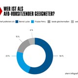 Weitere Ergebnisse der Forsa-Umfrage zur AfD