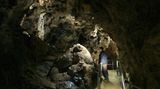 Warum dann nicht gleich eine kleine Höhlenwanderung, um der Hitze zu entfliehen? Beliebt ist beispielsweise die Sontheimer Höhle auf der Schwäbischen Alb, die Touristen bis zu einer Tiefe von 31 Metern unter die Erde führt. Der große Vorteil momentan: Im Inneren der Tropfsteinhöhle herrscht eine konstante Temperatur von angenehmen acht Grad Celsius.