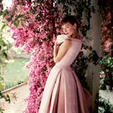 Audrey Hepburn