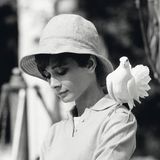 Audrey Hepburn