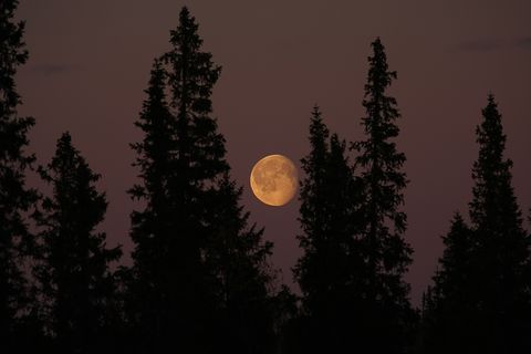 Gleich vier Mal können wir im Juli den Vollmond erleben. Wie kommt es zu diesem seltenen Ereignis?
