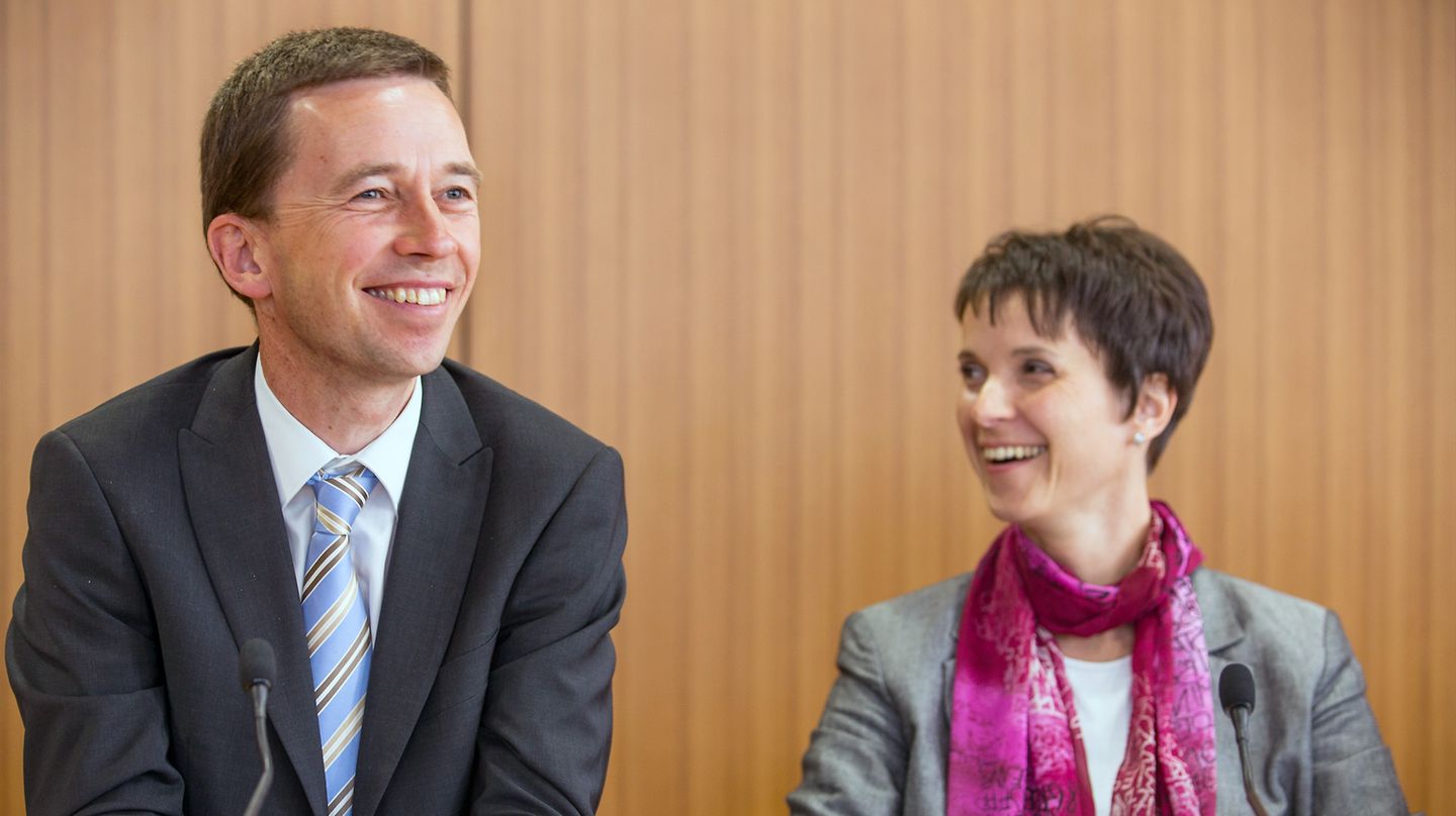 Die Sprecher der Partei "Alternative für Deutschland" (AfD), Bernd Lucke und Frauke Petry