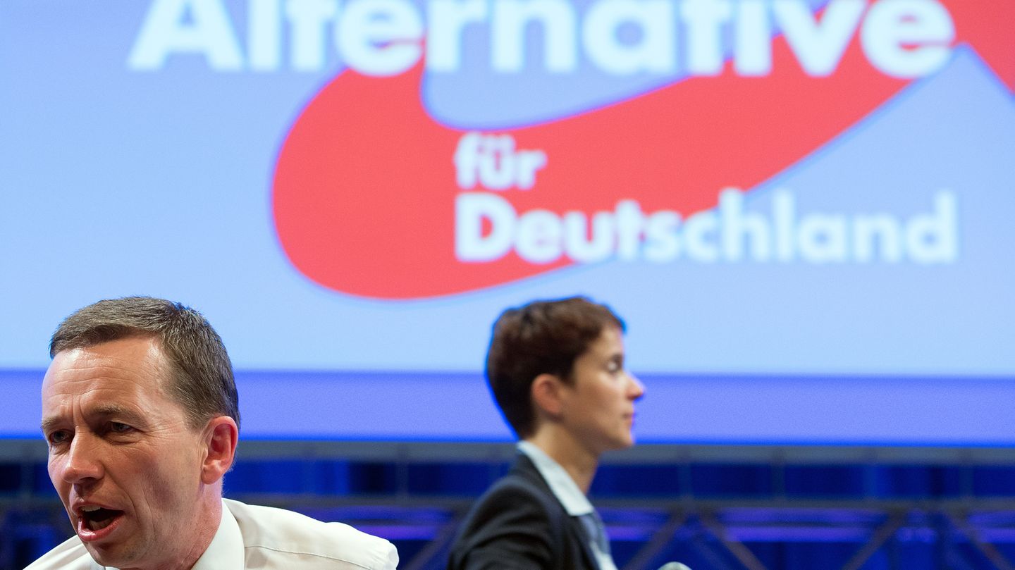 Bernd Lucke und Frauke Petry