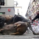 Umstürzende Stiere in Gasse