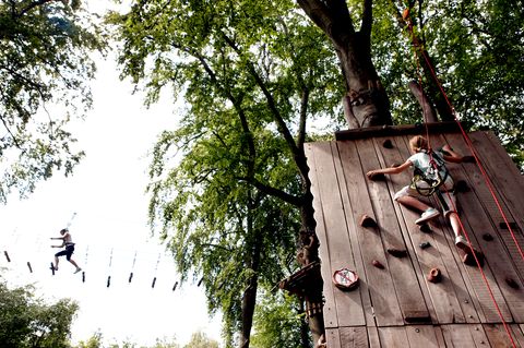 Im Waldhochseilgarten Jungfernheide in Berlin können Kinder ihre Kletterkünste trainieren