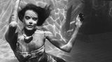 "This must be Underwater Love" -Smoke City sangen 1997 den passenden Ohrwurm zu diesem Bild.