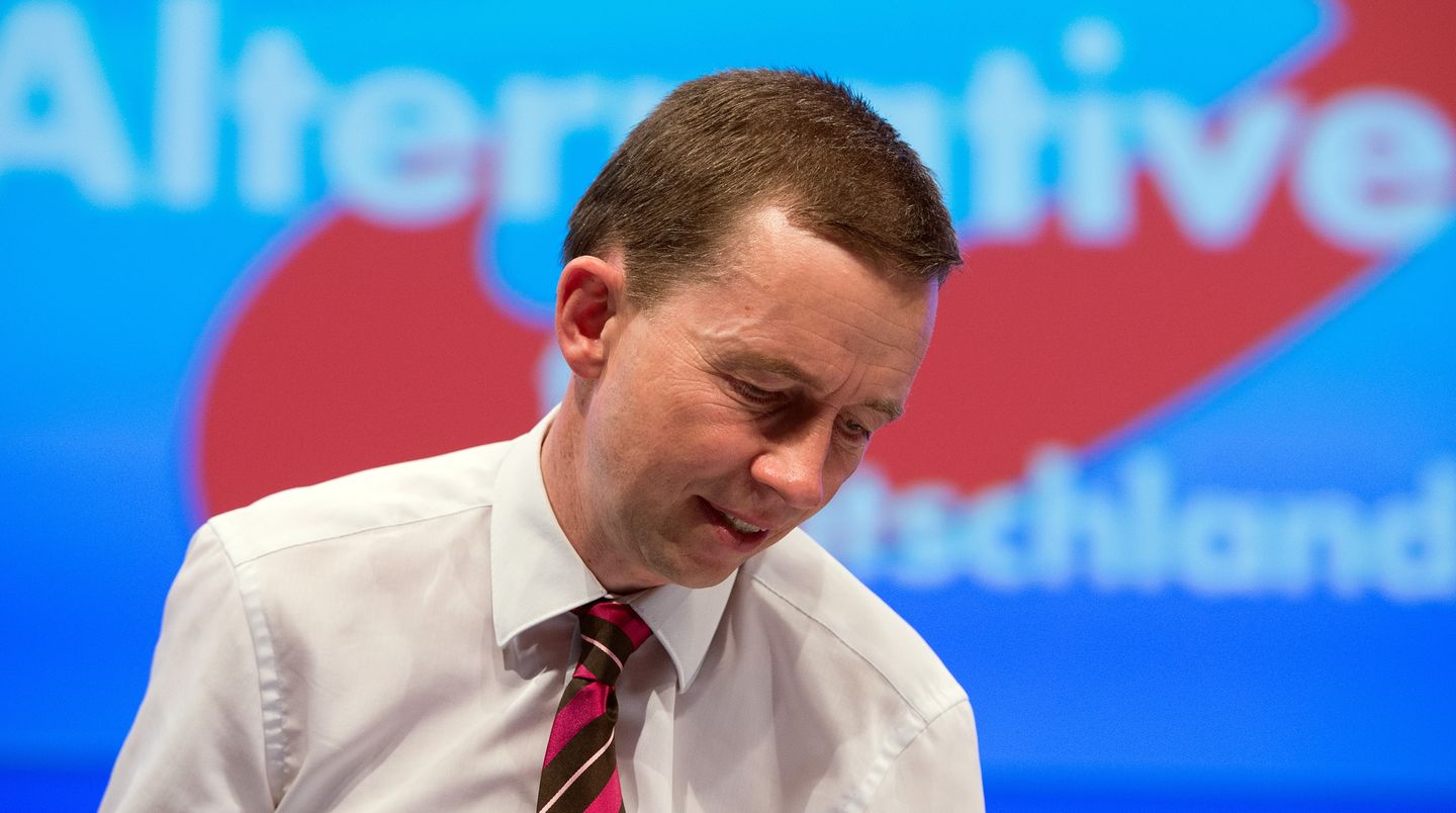 Der frühere Parteivorsitzende Bernd Lucke vor dem Logo der AfD