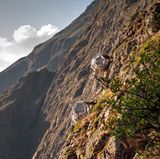 Zwei transparente Zimmer in der Wand