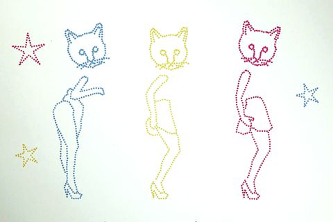 Die Hamburger Jungs von Pool stehen nicht nur auf Katzen.