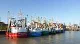 Ditzum  "Ditzum ist mein Lieblingsort, weil  es hier eine Fähre gibt. Und Fischkutter mit echten Fischern. Ach, und eine Mühle. Weil man "Moin" sagt, egal zu wem, ob man denjenigen kennt oder nicht. Hier gehen um 11 Uhr abends die Laternen aus, die Bürgersteige werden schon ein paar Stunden eher hochgeklappt. Es gibt Wind und Wasser, Fisch und Kühe und Fahrräder. Und Unikate. Und Geschichtenerzähler." Userin Coastalkid      Und wo liegt nun Ditzum? Genau hier!