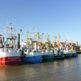 Ditzum  "Ditzum ist mein Lieblingsort, weil  es hier eine Fähre gibt. Und Fischkutter mit echten Fischern. Ach, und eine Mühle. Weil man "Moin" sagt, egal zu wem, ob man denjenigen kennt oder nicht. Hier gehen um 11 Uhr abends die Laternen aus, die Bürgersteige werden schon ein paar Stunden eher hochgeklappt. Es gibt Wind und Wasser, Fisch und Kühe und Fahrräder. Und Unikate. Und Geschichtenerzähler." Userin Coastalkid      Und wo liegt nun Ditzum? Genau hier!