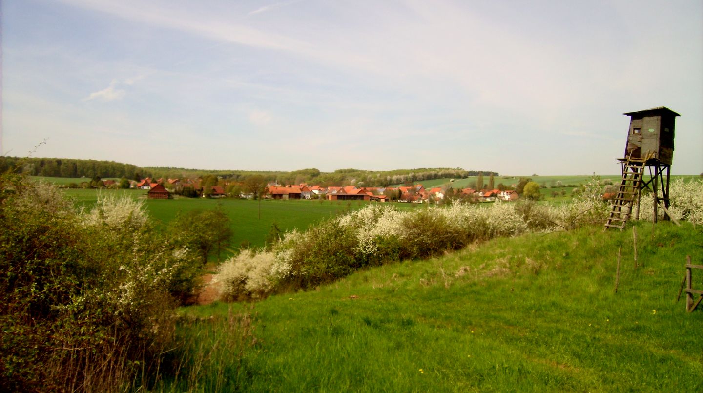 Blick auf das Dorf Kelze Blick auf das Dorf Kelze