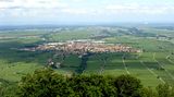 Edenkoben  "Die Landschaft, die Leute, der Haardtrand, die Pfalz - ich bin kein Pfälzer, aber seit ein paar Jahren hier ansässig - und wenn ich etwa von der anderen Seite des Rheins komme und ab Speyer so langsam auf den Haardtrand zufahre, die Antennen auf dem Weinbiet oder der Kalmit sehe, mir das Friedensdenkmal und die Villa Ludwigshöhe entgegen leuchten, dann habe ich das Gefühl von Heimat und freue mich."  User kaefer572      Edenkoben auf der Karte der Lokalpatrioten.