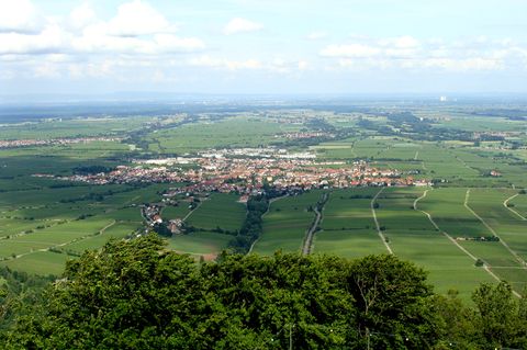 Edenkoben  "Die Landschaft, die Leute, der Haardtrand, die Pfalz - ich bin kein Pfälzer, aber seit ein paar Jahren hier ansässig - und wenn ich etwa von der anderen Seite des Rheins komme und ab Speyer so langsam auf den Haardtrand zufahre, die Antennen auf dem Weinbiet oder der Kalmit sehe, mir das Friedensdenkmal und die Villa Ludwigshöhe entgegen leuchten, dann habe ich das Gefühl von Heimat und freue mich."  User kaefer572      Edenkoben auf der Karte der Lokalpatrioten.