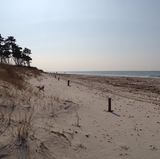 Pepelow   "Mit Pepelow verbinde ich Erinnerungen an meinen ersten Urlaub ohne Eltern. Das erste Mal nach einer langen Phase meines Lebens habe ich mich plötzlich verstanden gefühlt, die Einsamkeit verschwand, Sicherheit, Zuneigung durchdrangen mich. Nachts fuhren wir mit dem Auto berauscht durch die Felder, sammelten durchnässt Blumen, tanzten. Kein Bild könnte jemals dieses Gefühl von Heimat zum Ausdruck bringen!" Userin Nostalgia      Pepelow in der Karte der Lokalpatrioten aufrufen.