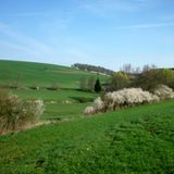 Niederwallmnach  "Nach einem anstrengenden Tag im Büro vorm Bildschirm nehme ich mir abends meinen Hund und gehe eine Runde durch den Wald. Wenn dann nach einer Stunde der Ärger verdunstet und die Probleme zusammengestutzt sind, lasse ich die Bäume hinter mir und es öffnet sich dieses Bild. Ich atme ein und bin froh hier zu leben." User Flippo      Und wo liegt nun Niederwallmnach? Genau hier!