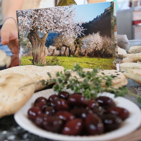 Griechische Oliven und Pita-Brot auf einem Markt in Berlin
