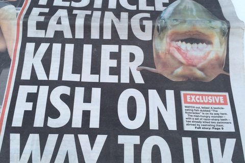 Der Hoden-fressende Killerfisch und andere Gefahren