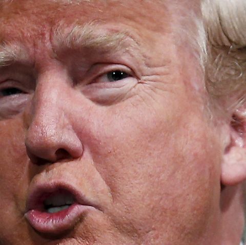 Trump-Welt-verstehen