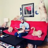 Ein Tier langweilt sich und dreht schließlich durch. Ein Schauspiel in sieben Akten.