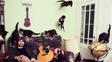 Sex, Drugs oder Rock'n'Roll? Diese Katze hat ganz offensichtlich eine Überdosis von irgendwas abbekommen...