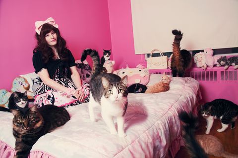 Verrückt nach Katzen: Wie Menschen mit Katzen zusammenleben