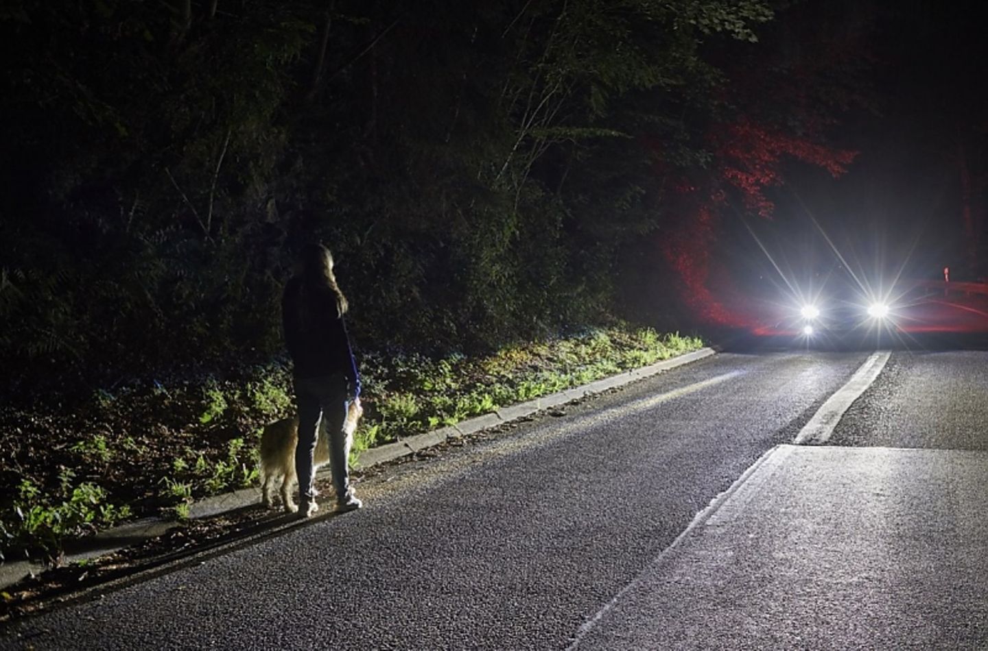 Ford Lichtsysteme