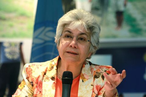Die stellvertretende UN-Menschenrechtskommissarin Flavia Pansieri tritt zurück