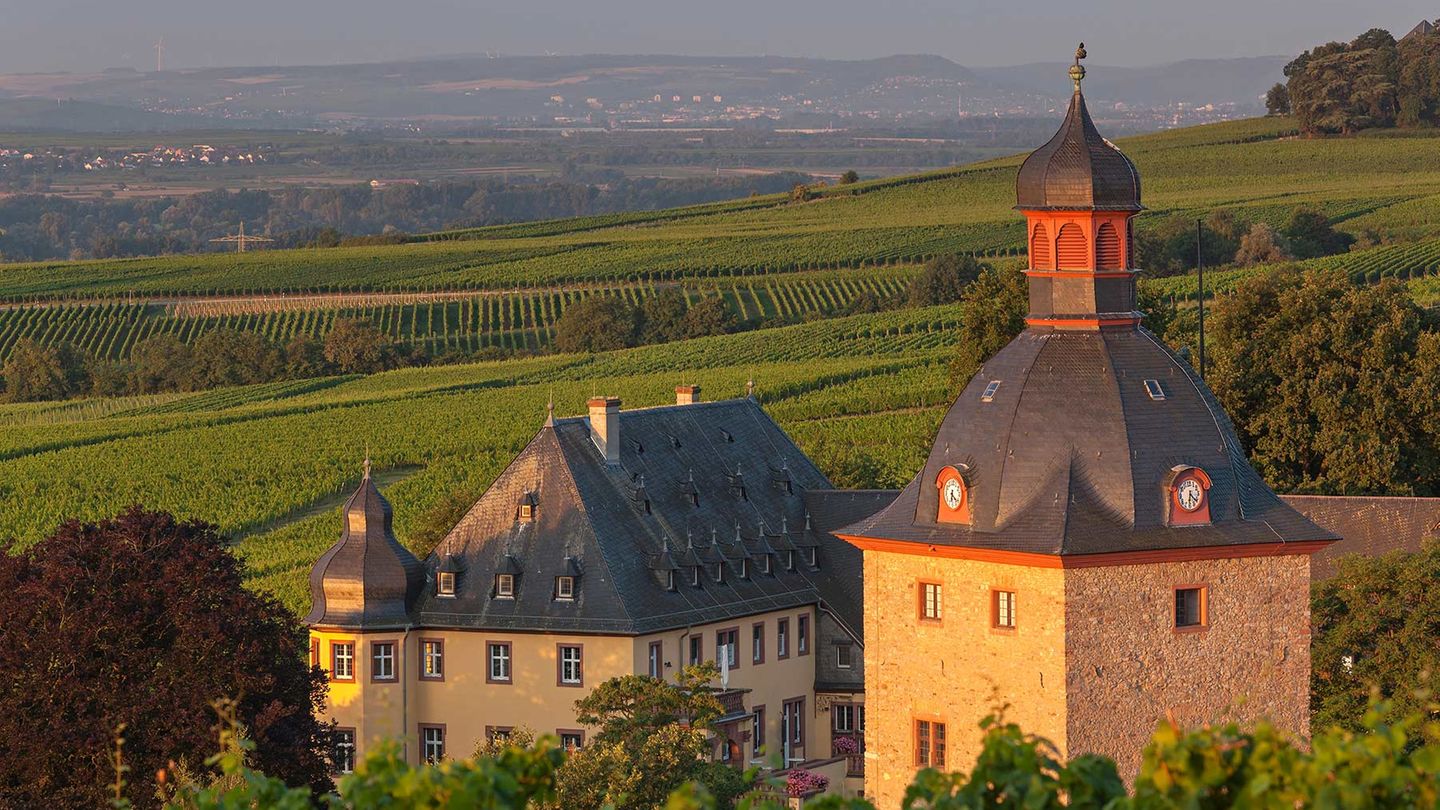 Gutsrestaurant Schloss Vollrads