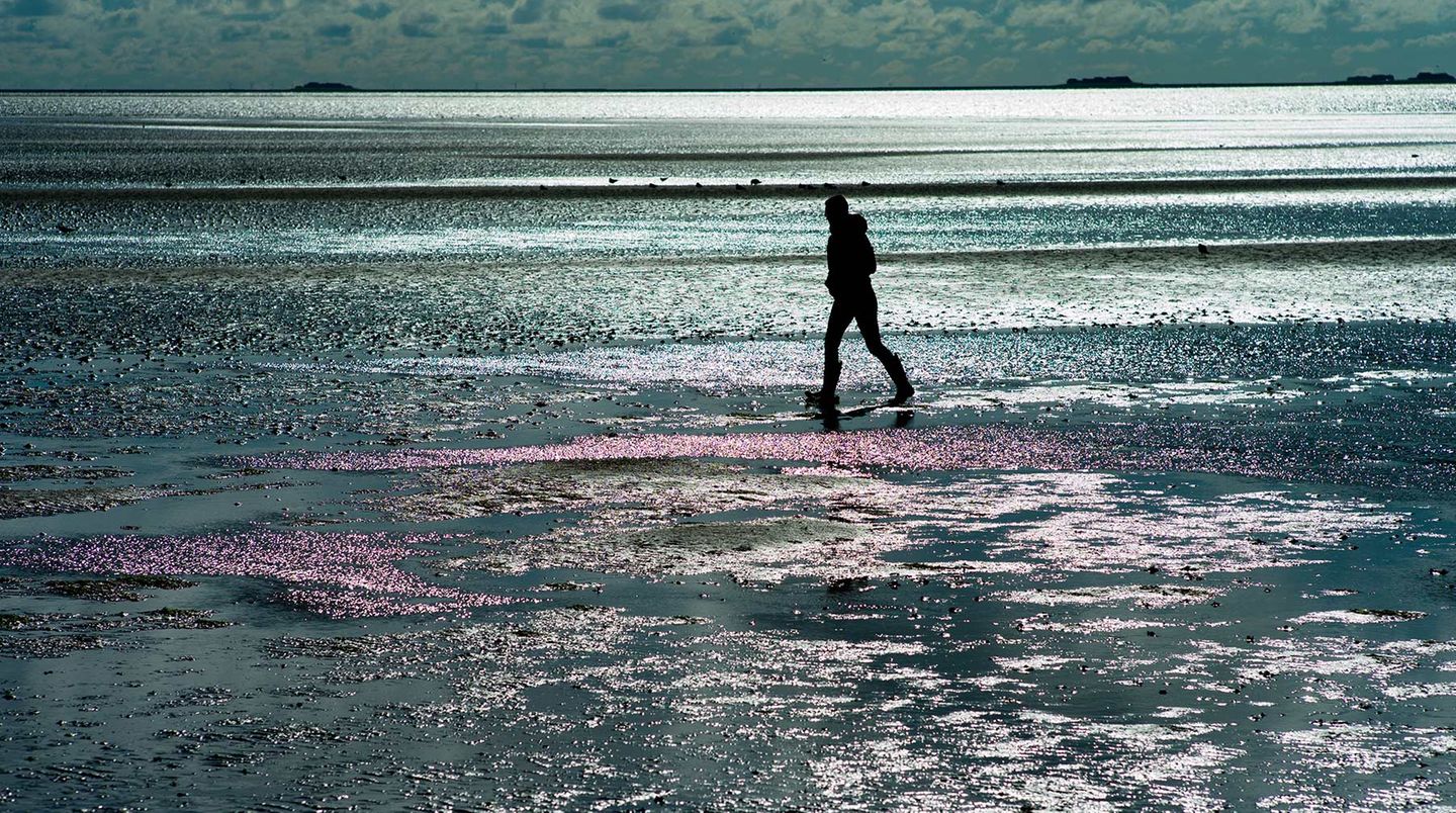 Föhr