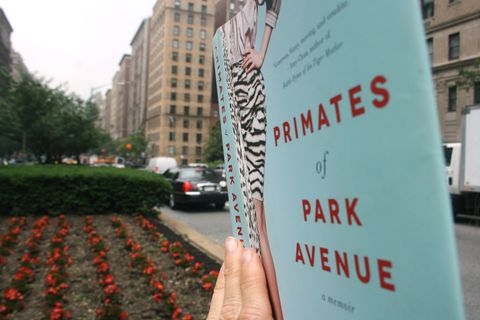 Cover des Buches "Primates of Park Avenue"
