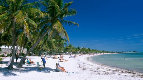 Touristen sitzen unter Palmen an einem Strand von Key West