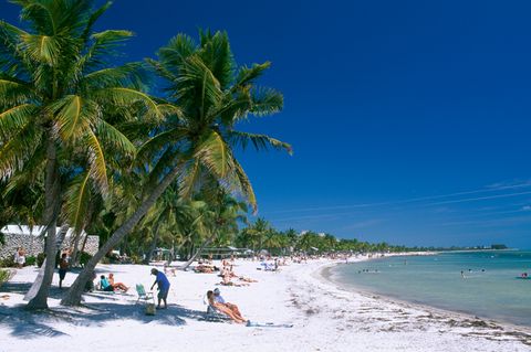 Touristen sitzen unter Palmen an einem Strand von Key West