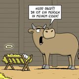 Cartoon-Buch: Golf ist doch gefährlich